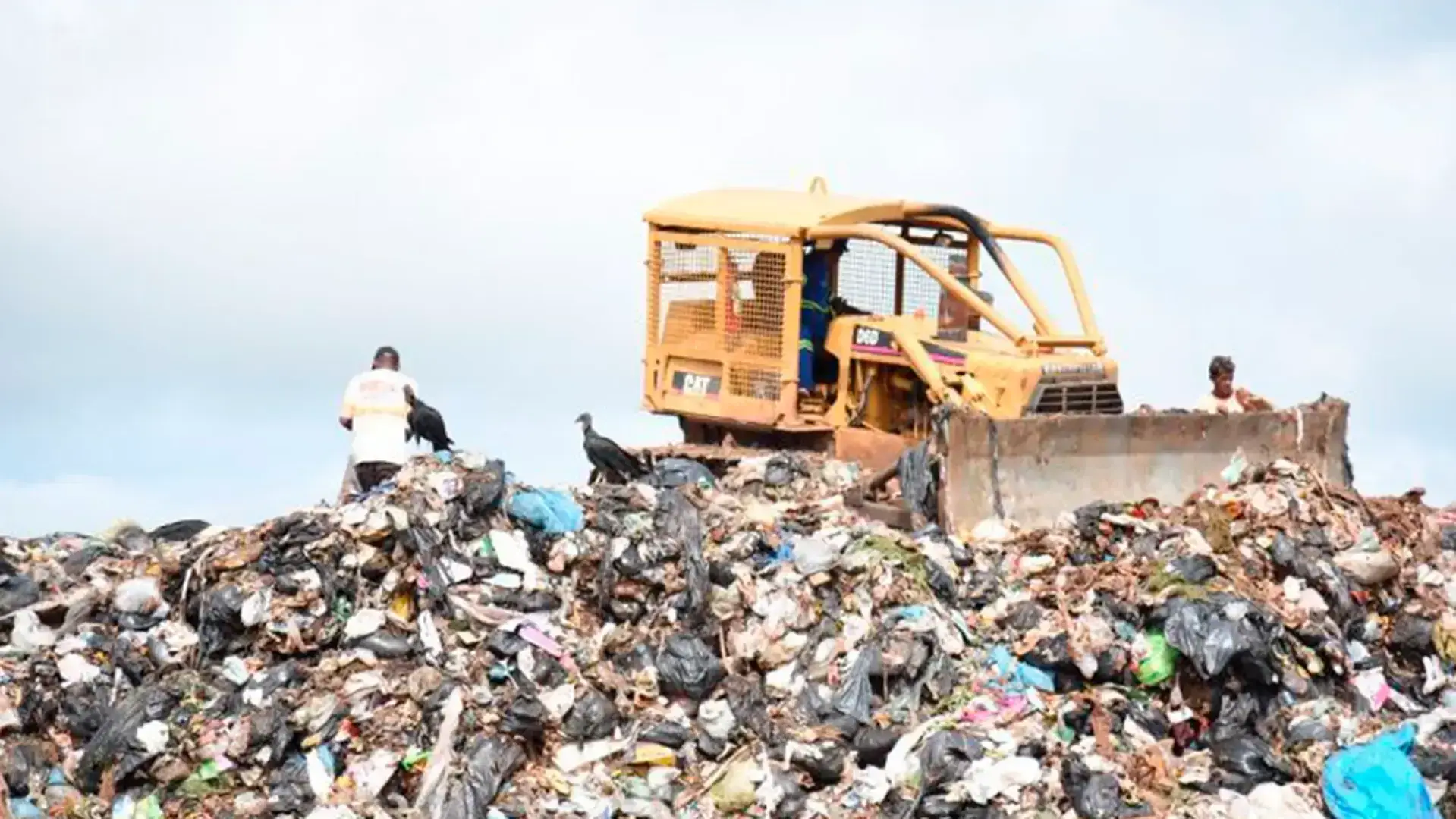 O paradoxo da reciclagem no Brasil: por que os trabalhadores que mais contribuem são os que mais sofrem